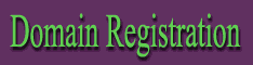 Domain Registration / Hosting