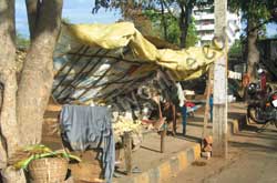 Slum Dwellers of Sidhardhanagar in Resapuvanipalem
