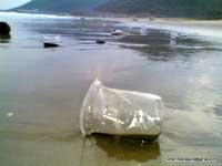 Plastic Pollution in Vizag