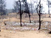 Plastic Pollution in Vizag