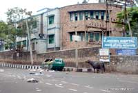 Plastic Pollution in Vizag