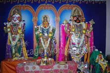 Lord Jagannadh in Matsya incarnation