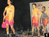 Mr & Ms NIFD-2005