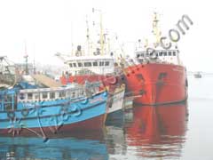 Trawlers ready for a big hunt