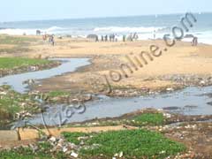 Stagnated effluents near R.K. Beach