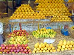 Mangoes