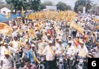 Elections 2004