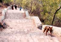 The scenic climb up the steps of Kailasagiri