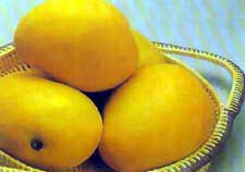 Mangoes