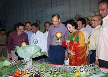 Horticulture Show