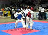 4th National Open Taekwondo Championship