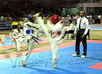 4th National Open Taekwondo Championship