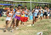 41st National Cross Country Championship