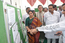 CM promissed for Green Visakha city