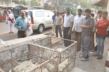 Commissioner warned to close the poultry at dondabazar