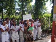 Awareness Rally on Clean and Green