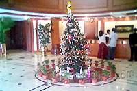 Christmas_taj