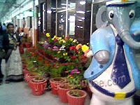 Flower show at Visakhapatnam Railway station