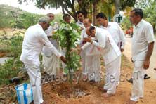 satya sai seva organisation