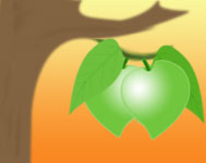 Mangoes