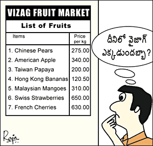 RUMINATIONS OF A GROUCH: WHERE ARE THE FRUITS?