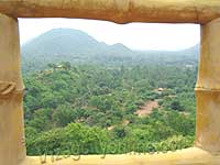 A View of Kambalkonda reserve forest from a watch tower 